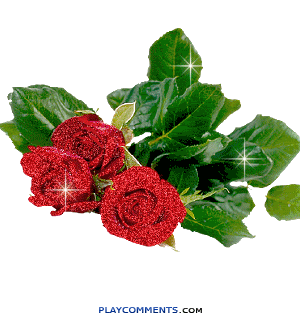 300_319gif 动态图 动图